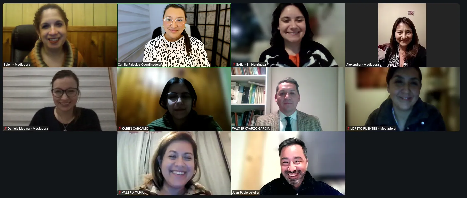 Diplomado en Mediación Laboral